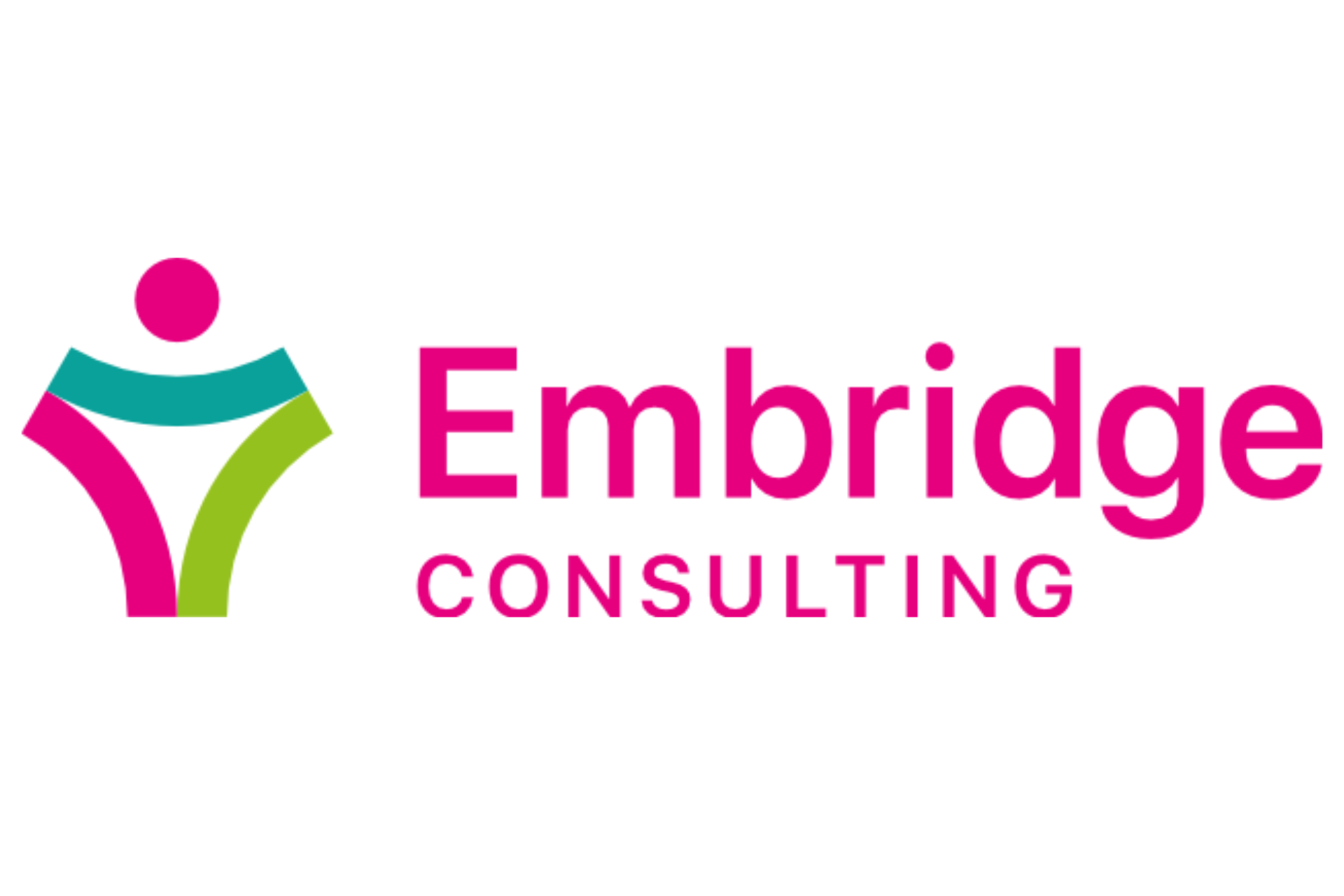 Embridge Consulting